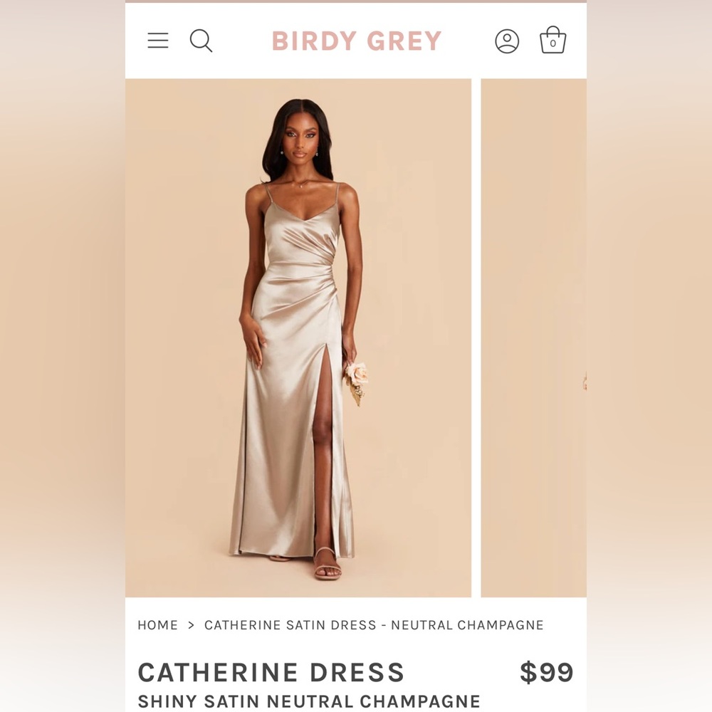 Birdy Grey Catherine Dress Champagne M NWT